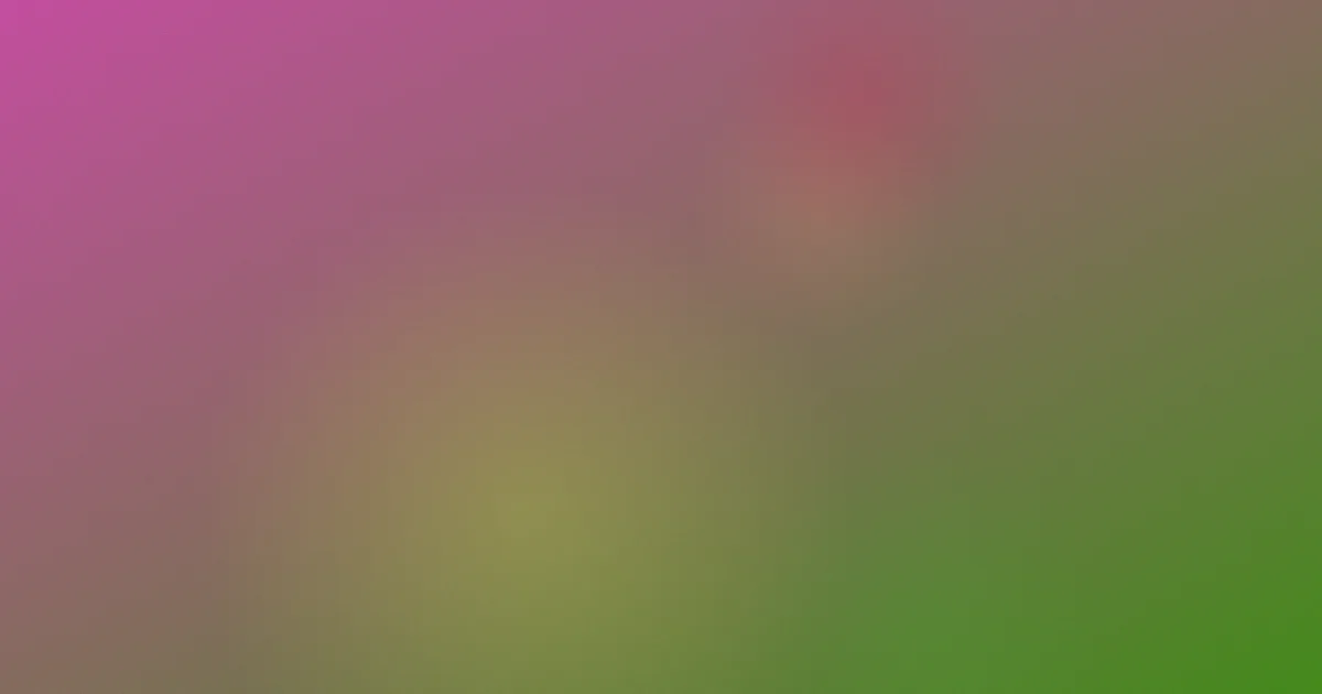 头文字d动漫是什么